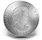 2016 125th Anniversary of the Invention of Basketball Silver Doom Coin