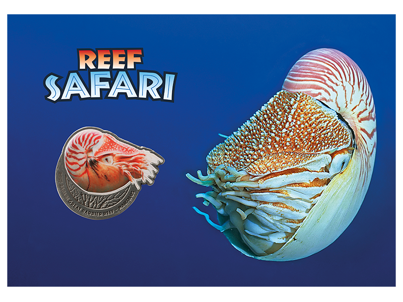 2018 Reef Safari Nautilus Stamp and Medallion Cover