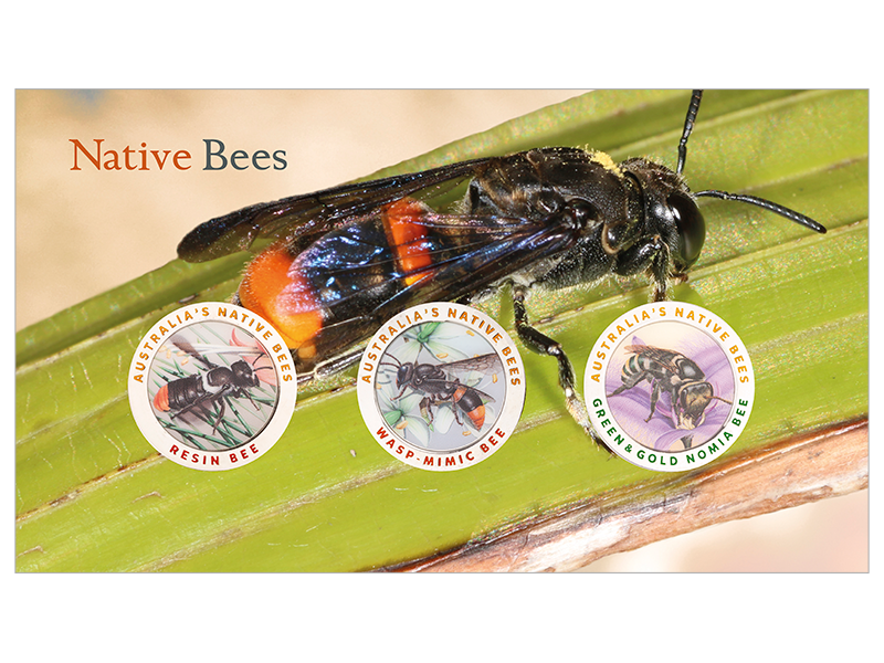 2019 Native Bees 3 Medallion Cover