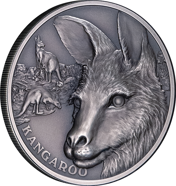2021 $1 Kangaroo 1oz Silver Antiqued Coin