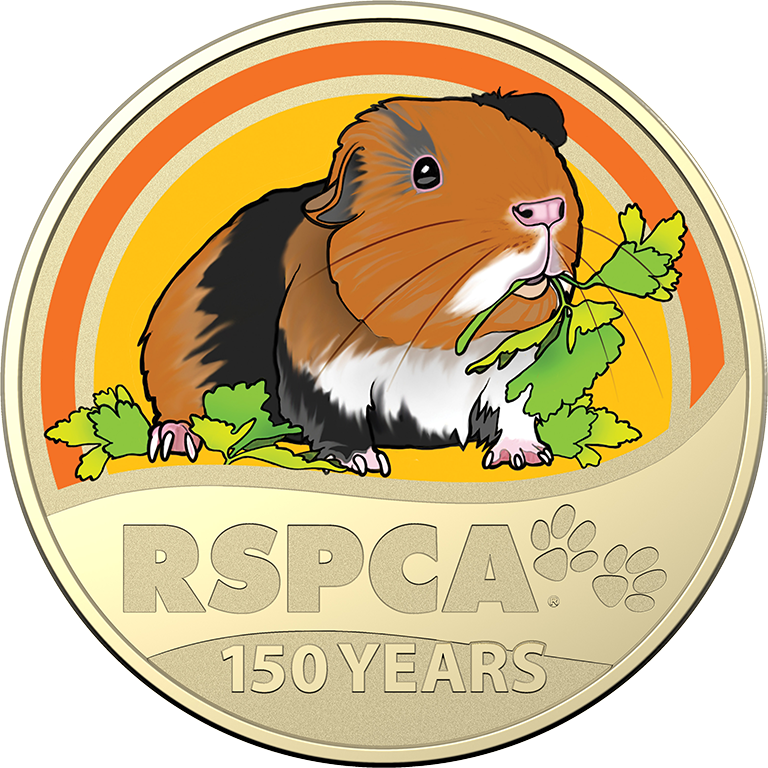 2021 $1 150th Anniversary of the RSPCA Aust. UNC Guinea Pig Coloured Coin