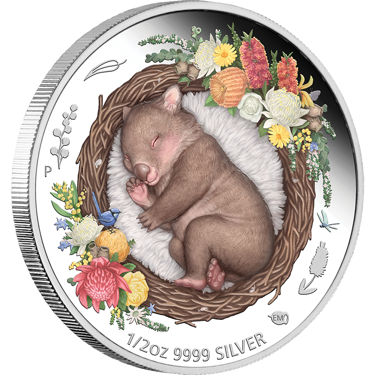 2021 Dreaming Downunder - Wombat 1/2oz Silver Coloured Proof Coin