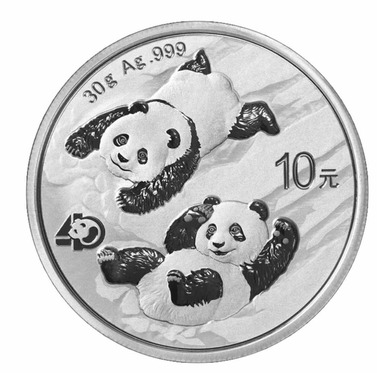 2022 30g China Panda .999 Silver Bullion Coin