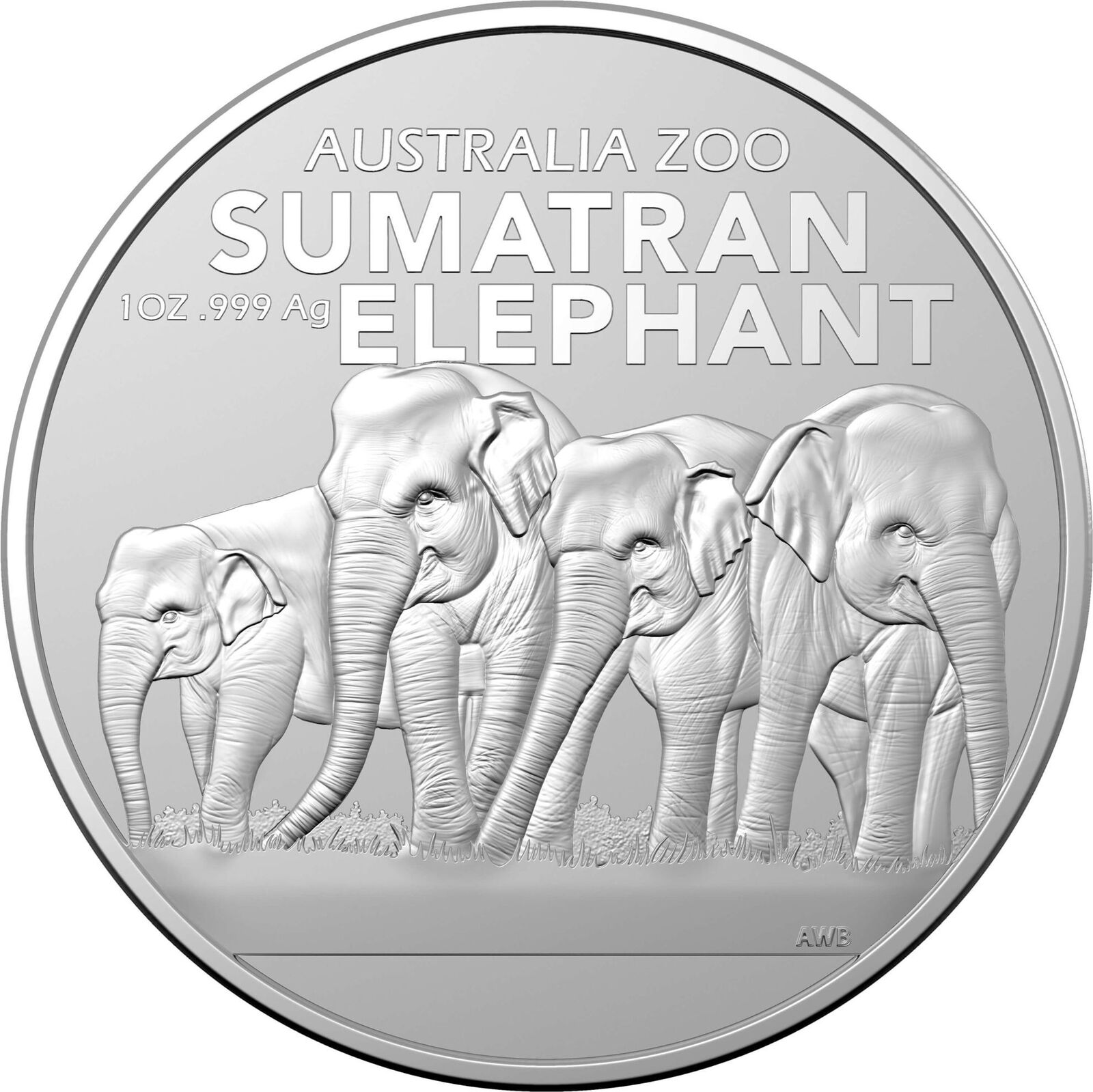 2022 $1 Australian Zoo Sumatran Elephant 1oz Silver Bullion Coin