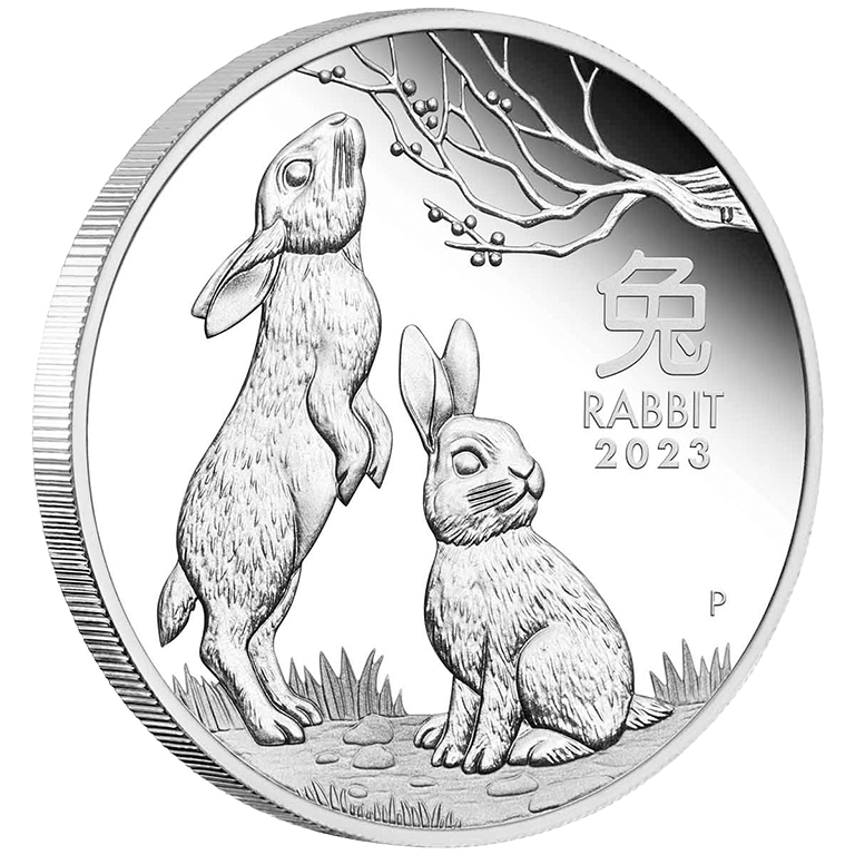 2023 50c Year of the Rabbit 1/2oz Silver Proof Coin - Comm Coinage