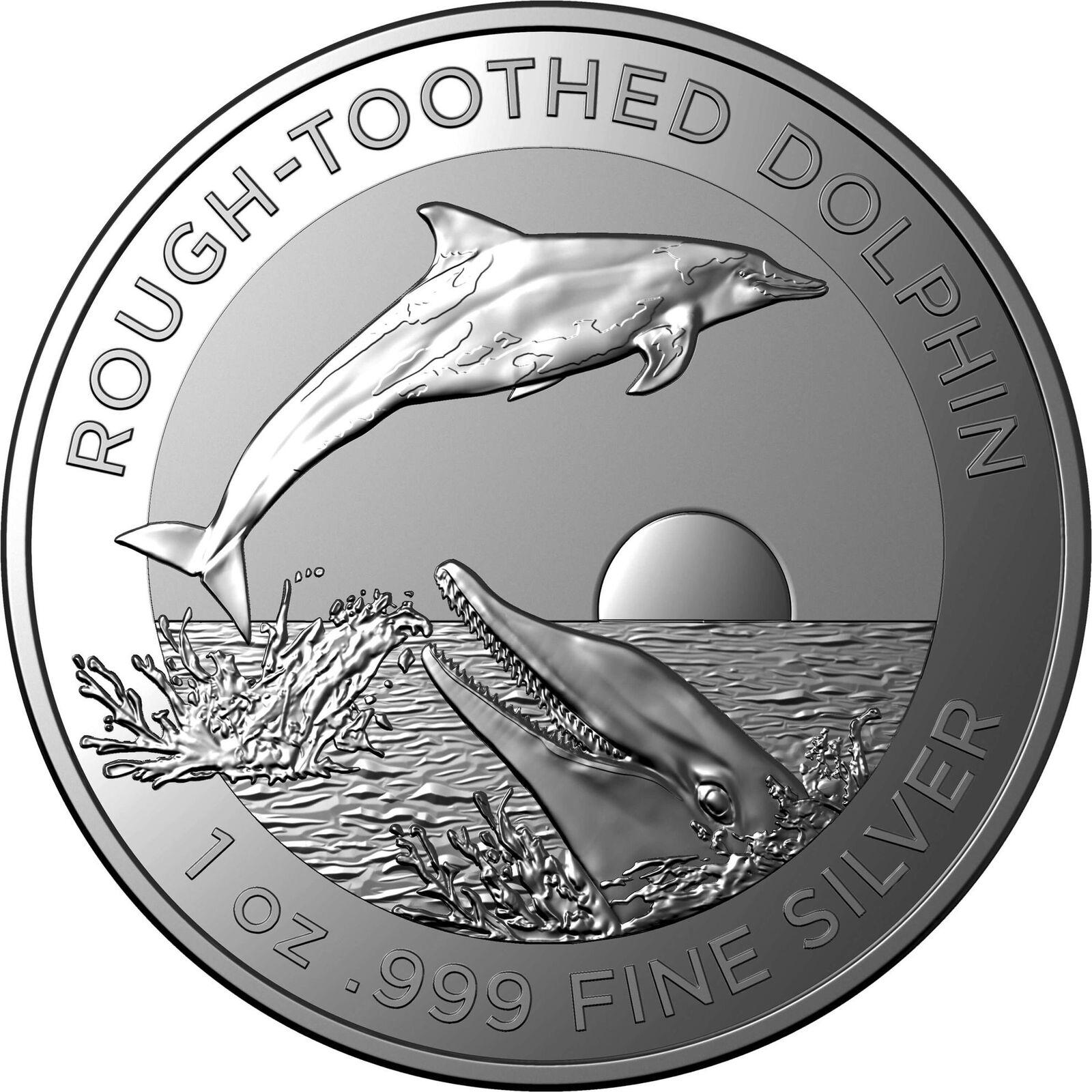 2023 $1 Rough-Toothed Dolphin 1oz Silver Investment Coin