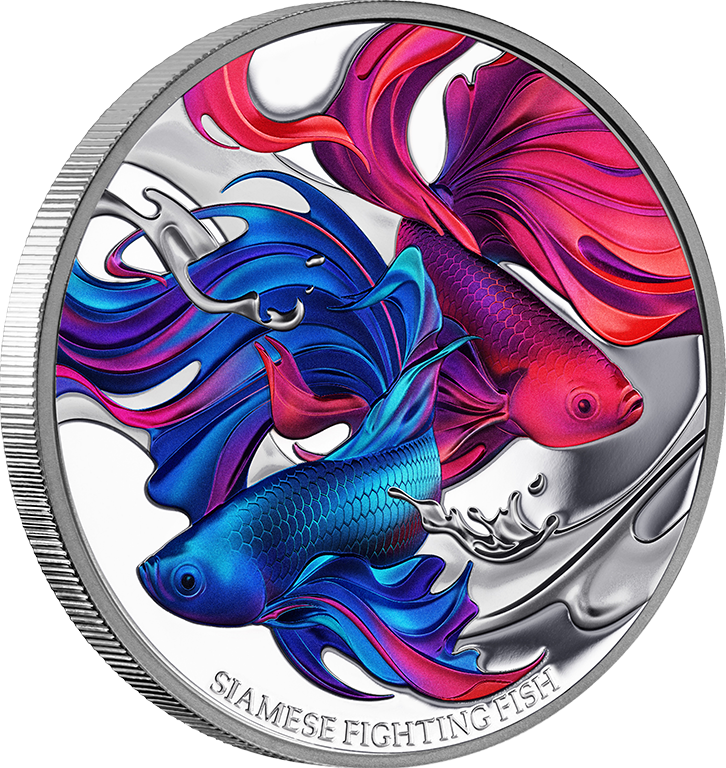 2024 $1 Siamese Fighting Fish 1oz Coloured Silver Coin