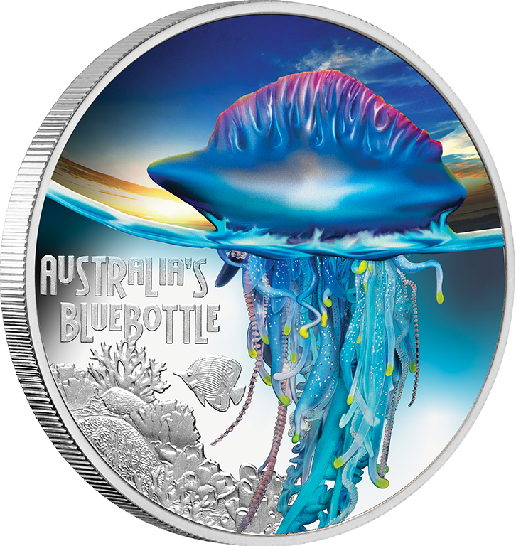 2024 $1 Deadly and Dangerous Bluebottle 1oz Coloured Silver Proof