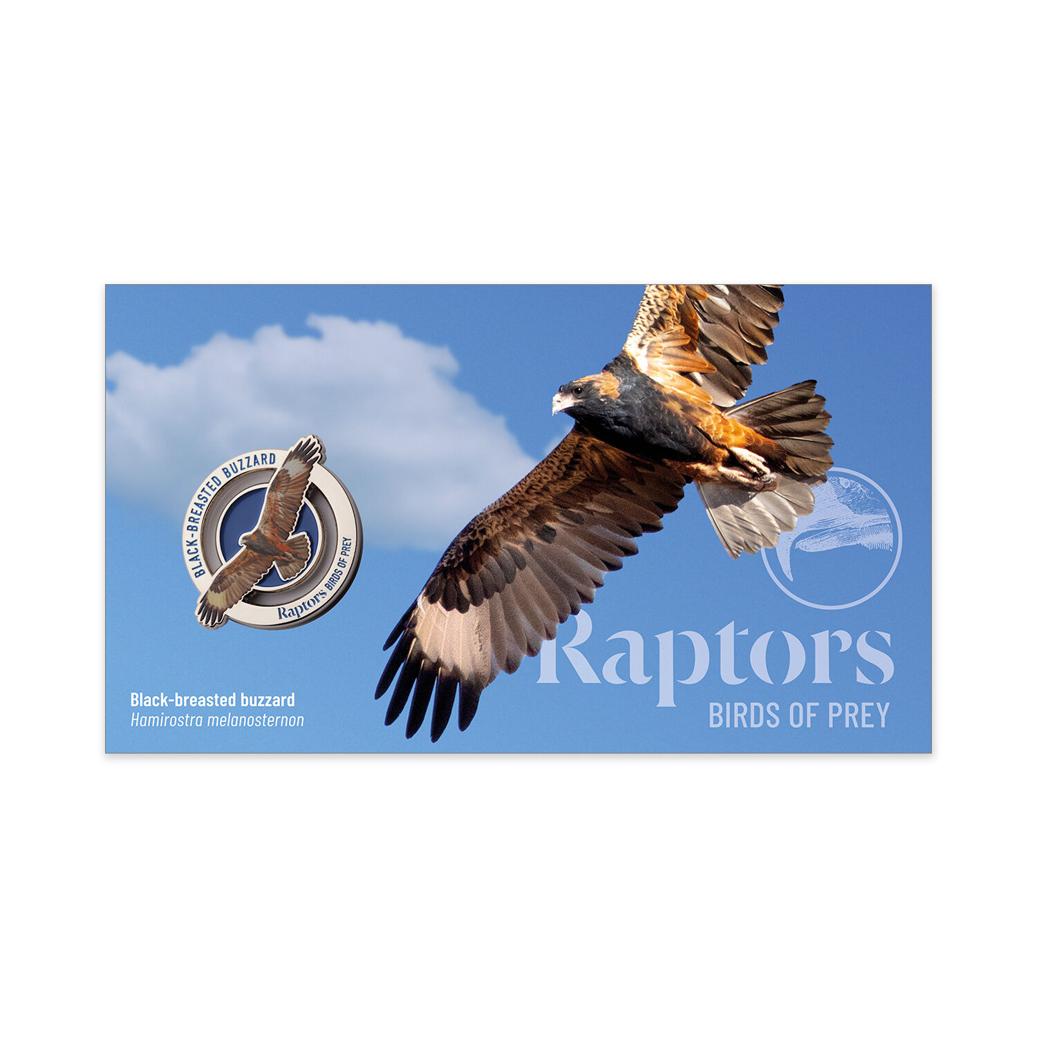 2025 Raptors Birds of Prey Set of 3 PMCs