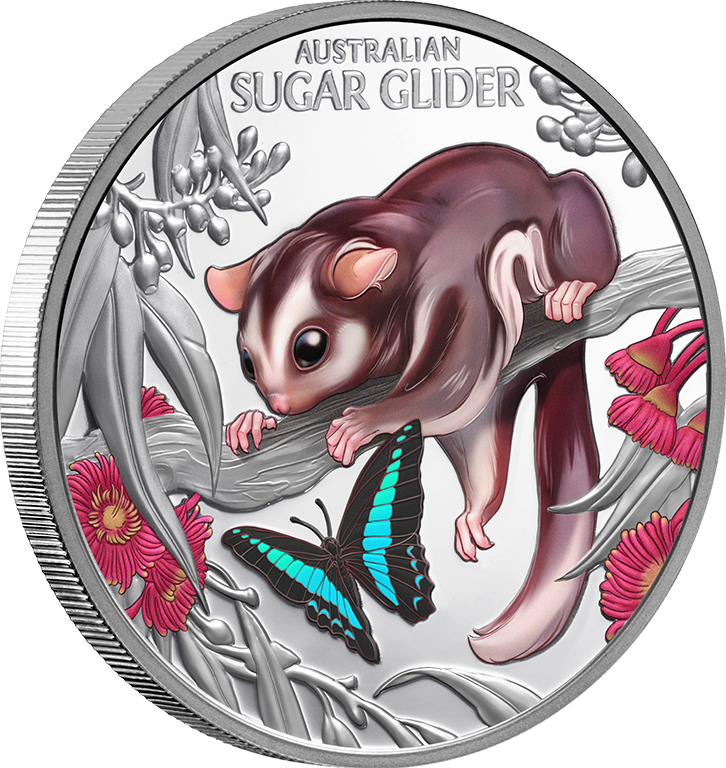 2025 $1 Cute and Cuddly Baby Sugar Glider 1oz Coloured Silver Proof Coin