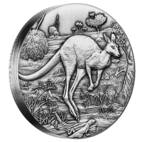 2016 $2 Kangaroo 2oz High Relief Silver Antique