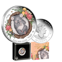 2021 Dreaming Downunder - Koala 1/2oz Silver Coloured Proof Coin