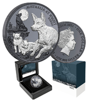 2021 $1 Australia at Night -  Dingo Silver Black Proof Coin