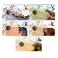 2013 Bush Babies PNC Set