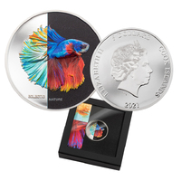 2021 $5 Fighting Fish Coloured High Relief Silver Proof Coin