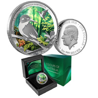 2025 $1 Colours of Australia Evergreen Rainforest 1oz Coloured Silver Proof Coin