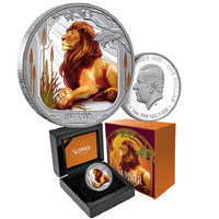 2025 $1 Seasons - Summer 1oz Coloured Silver Proof