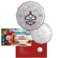 2025 Christmas - Secular Christmas Festive Floral PNC