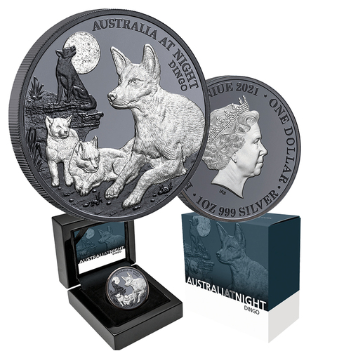 2021 $1 Australia at Night -  Dingo Silver Black Proof Coin