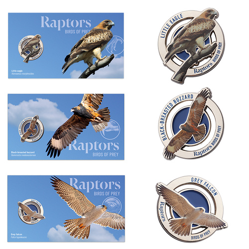 2025 Raptors Birds of Prey Set of 3 PMCs